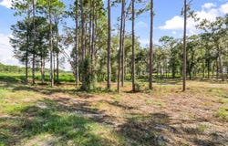 15504 LENWAY Road, SPRING HILL, FL 34610