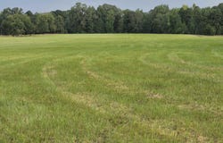 Sheridan, AR 72150