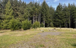 Sauter Dr, Florence, OR 97439