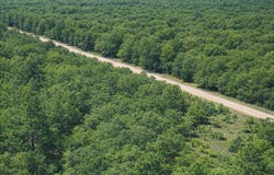 Medicine Stone Drive, Webster, FL 33597
