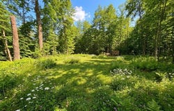 2861 29 7/16 Avenue, Birchwood, WI 54817