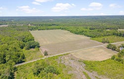 3454 Shearin Road, Whitakers, NC 27891