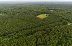 6150 MacDonald Road, Scottsburg, VA 24589