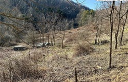 Willard Johnson Road, Vilas, NC 28692