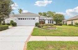 8013 PINE HOLLOW Drive, MOUNT DORA, FL 32757