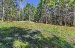 Old Tree Farm Dr, Longview, WA 98632