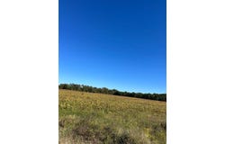 007 Old Wire Road, Wallace, SC 29596