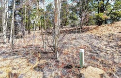 101 Patch Court lot: 102, COMO, CO 80432
