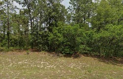 6264 SW 136TH Place, OCALA, FL 34473