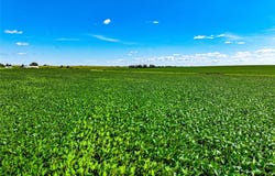 P Avenue, IA 50655