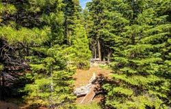 8735 Bering Road, Alturas, CA 96101