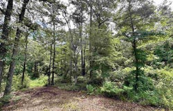 3156 Shadow Pine Dr., LaRue, TX 75770