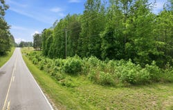 George Sherman, Rougemont, NC 27572