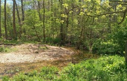 Timber Circle, Tunas, MO 65764