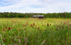 2365 CR 152, Carthage, TX 75633