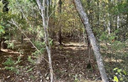 HIGHWAY 75 lot: #3, ONEONTA, AL 35121