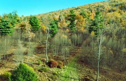 Duck Gap Road lot: 2, Rebersburg, PA 16872