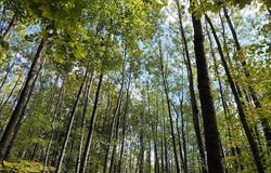 5 National Trail, Crandon, WI 54520