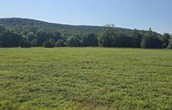 10708 Mt Hester Rd, Cherokee, AL 35616