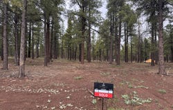 1945 Flower Spring Trail, Flagstaff, AZ 86005