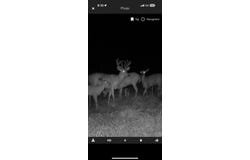 490 Kelley Road, Reading, MI 49274