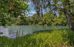 58 Beaver Pond Loop, Pawleys Island, SC 29585