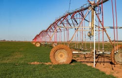 Te Velde Irrigated Farm, Dimmitt, TX 79027