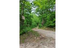 (Map 14) lot: 50, Andover, ME 04216
