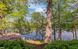 373 Sagamore Drive, Louisburg, NC 27549