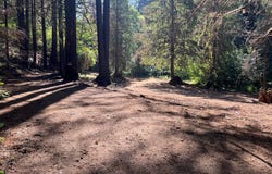 2536 SE MANNTHEY Rd, Corbett, OR 97019