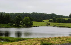 702 Polk Road 57, Mena, AR 71953