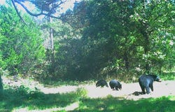 TBD 309 HWY, Paris, AR 72855