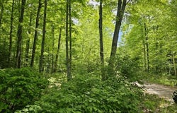 W HERZOG Road, IRON MOUNTAIN, MI 49801