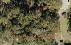 IVY Avenue, DELAND, FL 32724