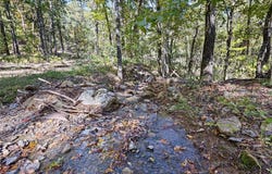 AR 155 lot: 0, Dardanelle, AR 72834
