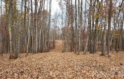 1056 Stephens Trail Road, Sandy Ridge, NC 27046