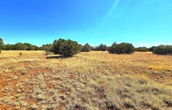 20 CO Road, Concho, AZ 85924