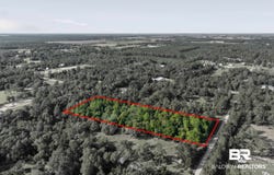 Route Road, Lillian, AL 36549