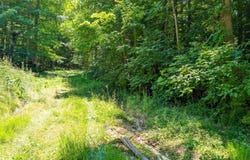 Bell Hollow Road lot: 16, Cannelton, IN 47520