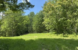 Cub Creek Rd, INDIAN MOUND, TN 37079