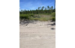 Bergman Road, Naylor, GA 31641