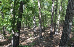 5.7 acres D Highway, Camdenton, MO 65020