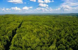 County Road 260, BRUCE, MS 38915