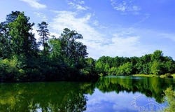 Hwy 17, Millry, AL 36558