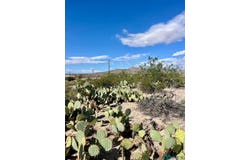 Pershing St, Truth Or Consequences, NM 87901