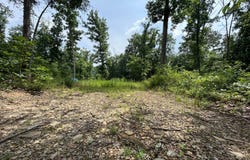 5786 St Rt 781, Peebles, OH 45660