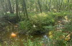 Dampeer Road, Canton, MS 39046