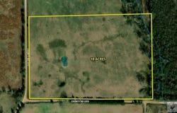 CR 3310, Avery, TX 75554