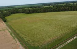 180 BLK Simmons Road, Start, LA 71264
