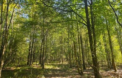 River Bend Road, Columbia, MS 39429